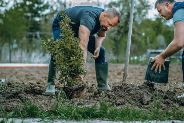 Best Tree Care Services  in Shippensburg, PA